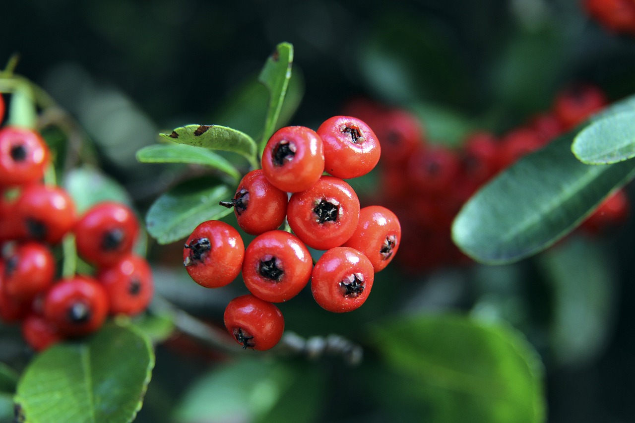 出的身体素 出的身体素