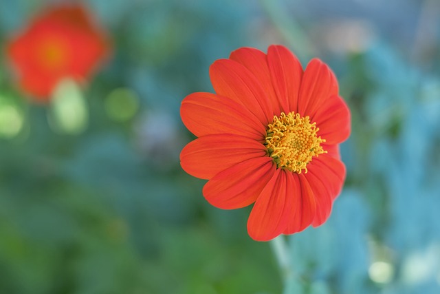 速度滑冰女 速度滑冰女