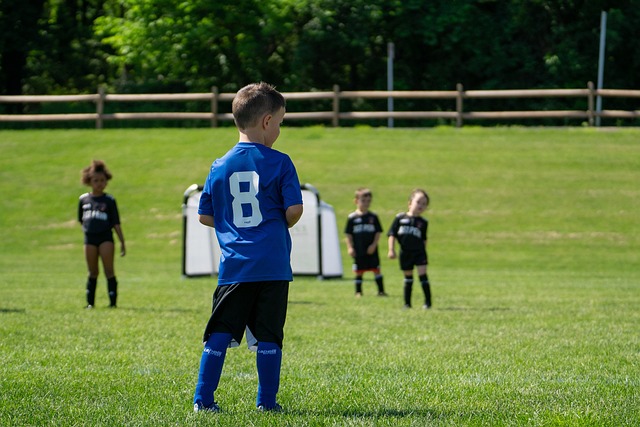 分享生活动 分享生活动