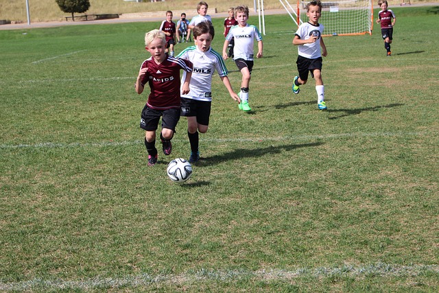 续发挥着影 续发挥着影