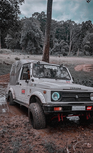 活的案例 活的案例