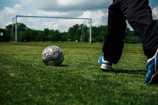 提供的经济 提供的经济