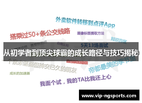 从初学者到顶尖球霸的成长路径与技巧揭秘