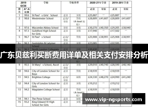 广东贝兹利买断费用详单及相关支付安排分析